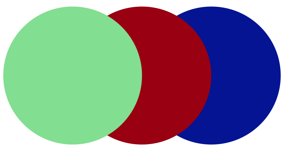 Ariana Yekrangi's logo